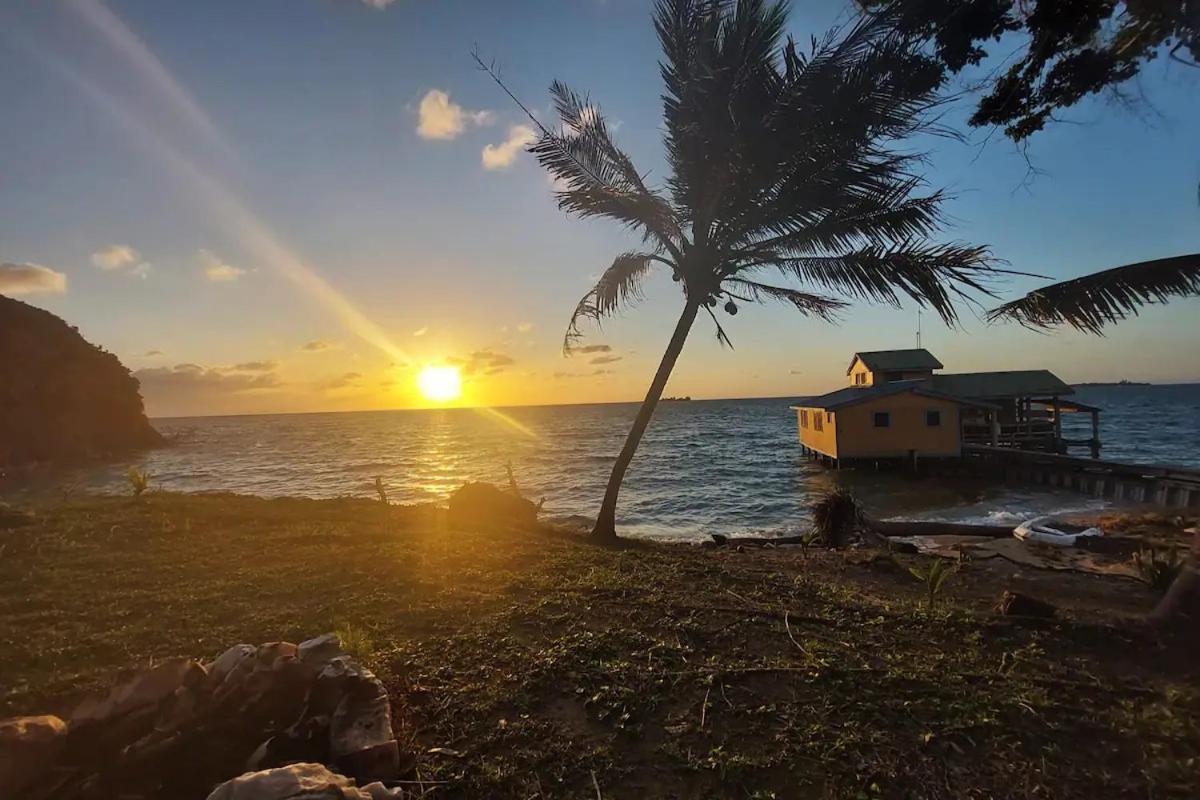 Guanaja Backpackers Hostel Eksteriør bilde